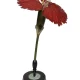 Dettaglio Modello botanico Dianhtus caryophyllus