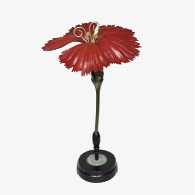 BOTANICAL MODEL DIANHTUS CARYOPHYLLUS
